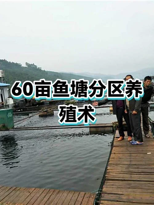 鱼塘建设多少钱一亩_1