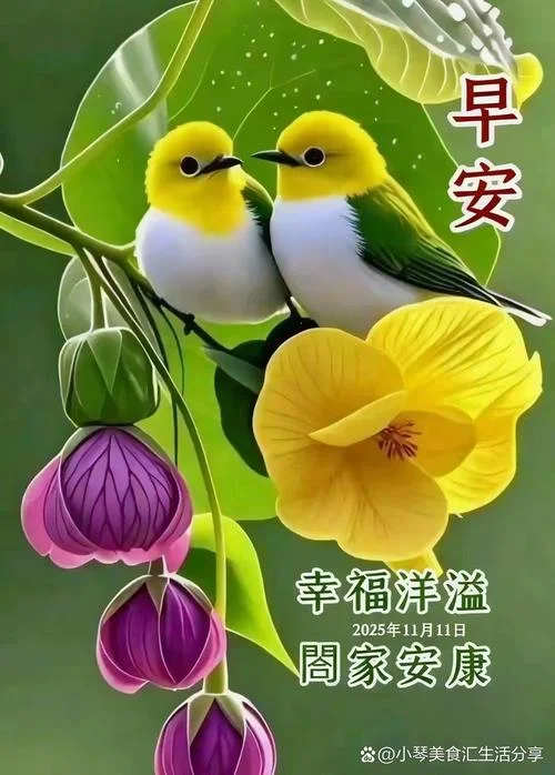 阳光温热岁月静好出处-阳光岁月静好