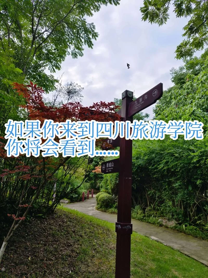 四川旅游学院住宿条件_1