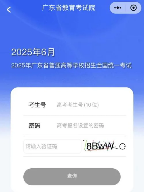 高考查分数是在哪里查_2