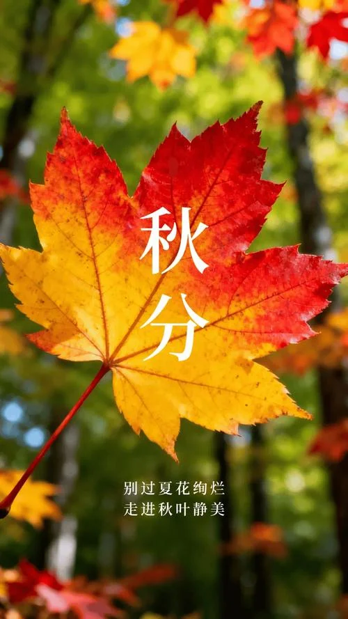秋分文案短句温柔_1