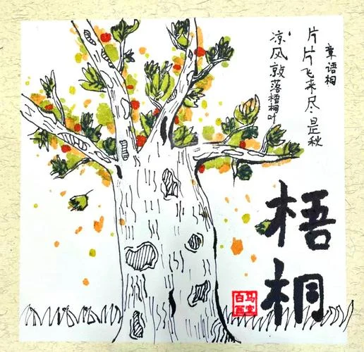 梧桐简笔画_1
