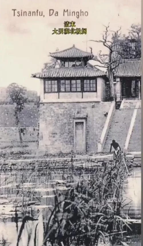 望奎县历史-望奎县历史