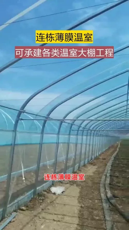 钢架大棚多少钱一平方_1