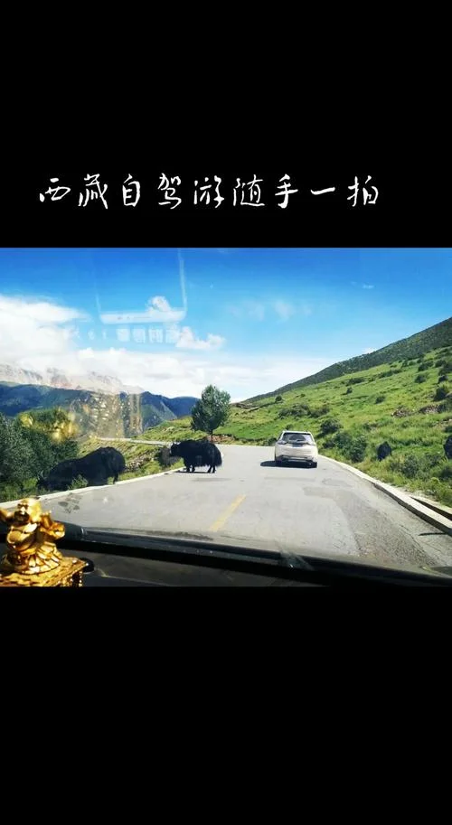 自驾游感悟视频-自驾感悟短剧