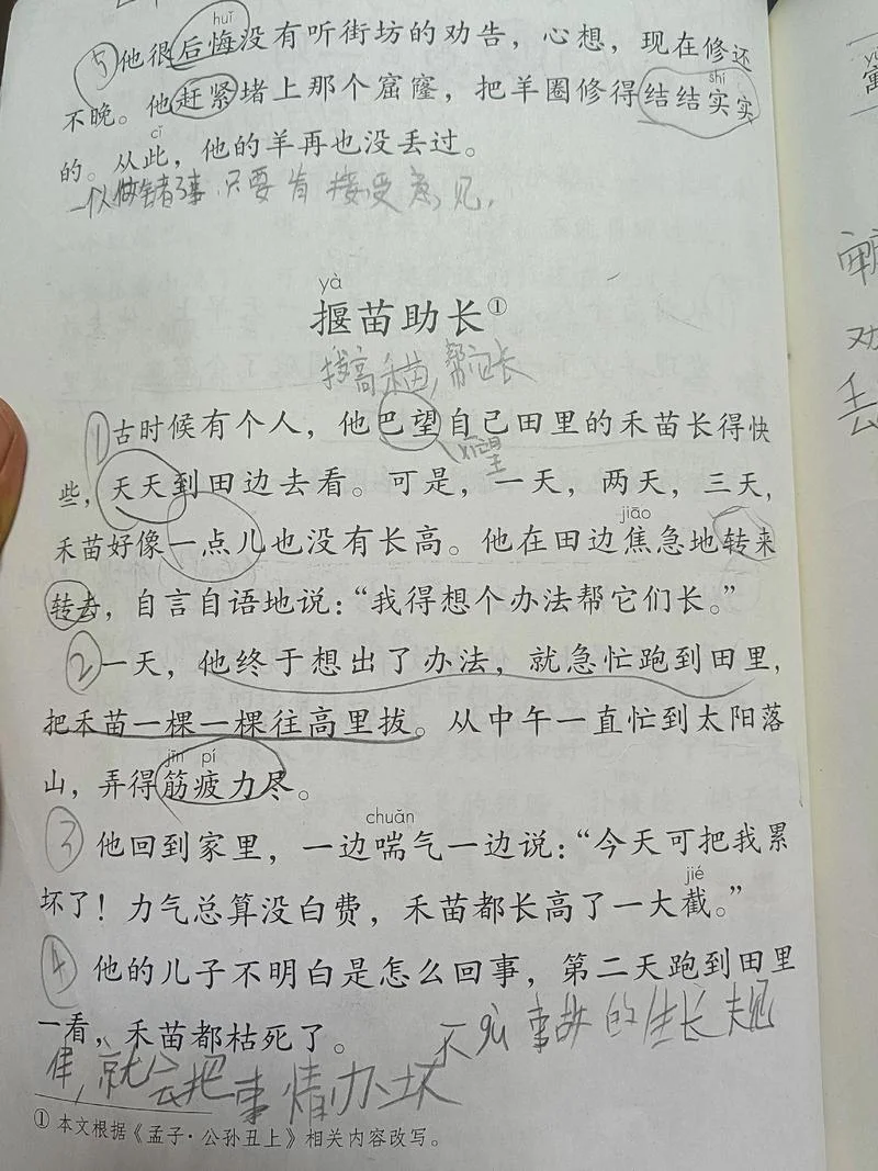 拔苗助长的道理_1