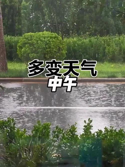 沧州历史天气查询2345_1
