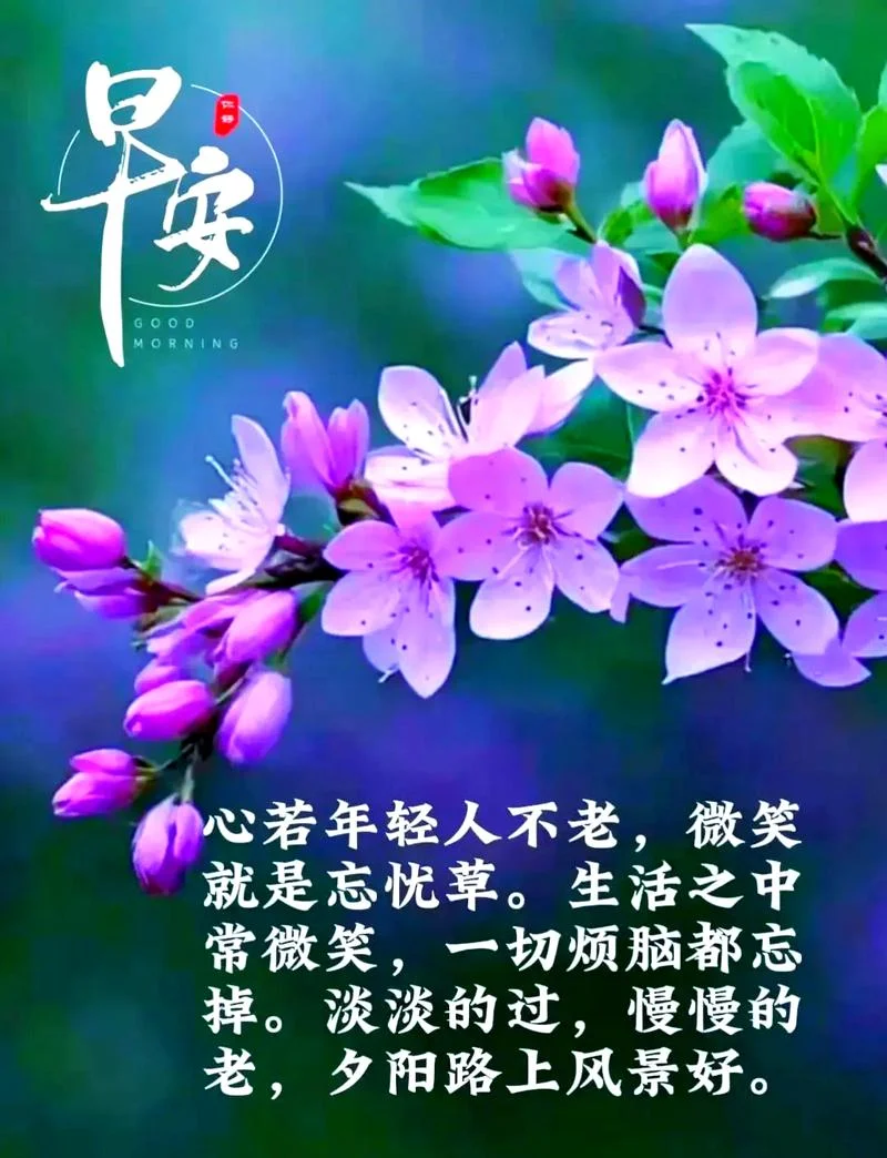 经典问候语录人生感悟_2