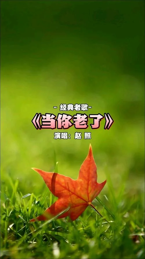 当你老了词作者是谁_2