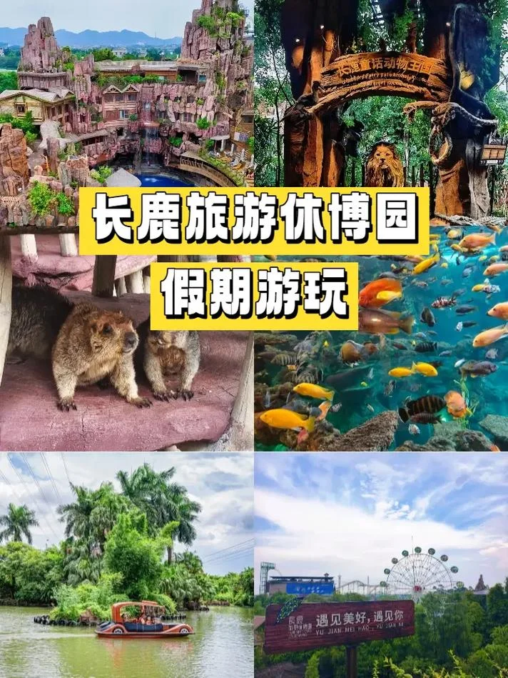 3月亲子旅游景点推荐_1