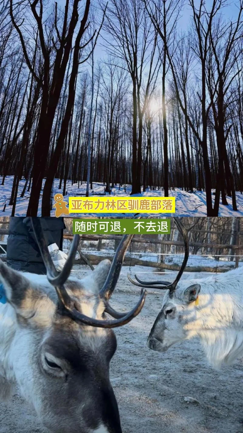 亚布力旅游攻略自助_2