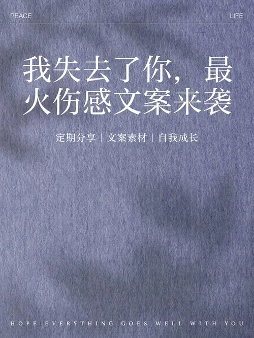 失意的文案_1
