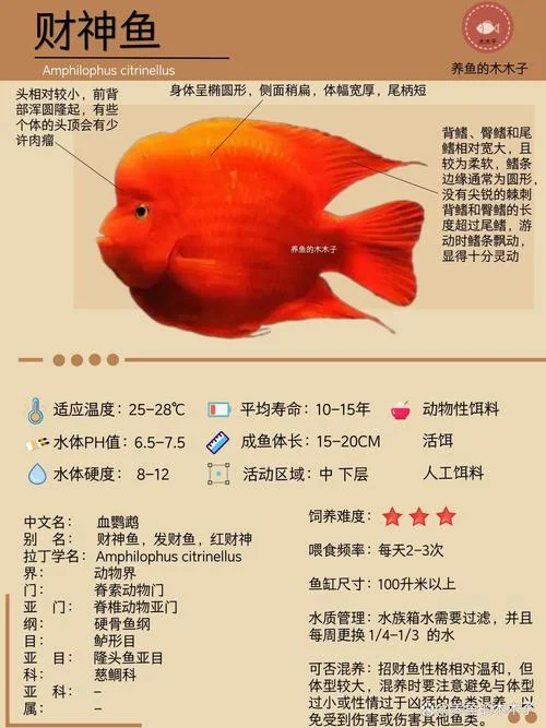 财神捕鱼原理_1