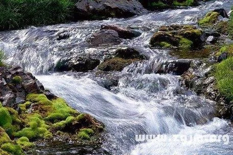 梦见很清澈的水-梦清水澈