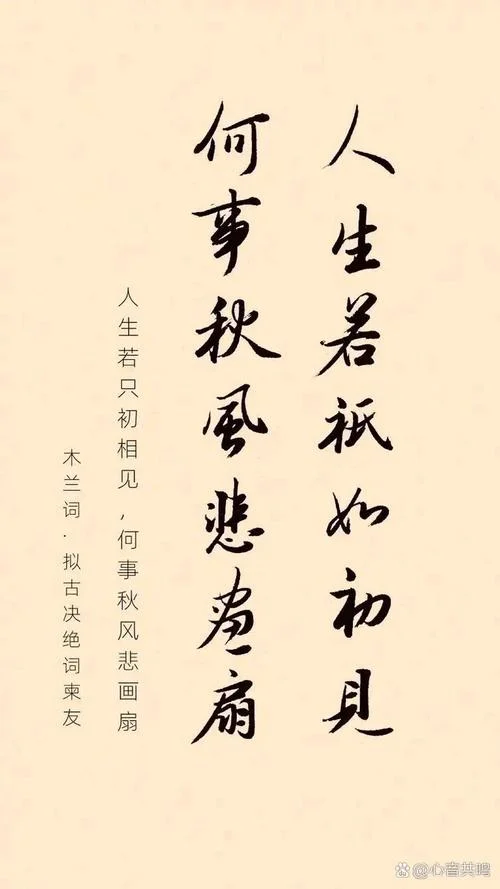 风度飘飘下一句话_1