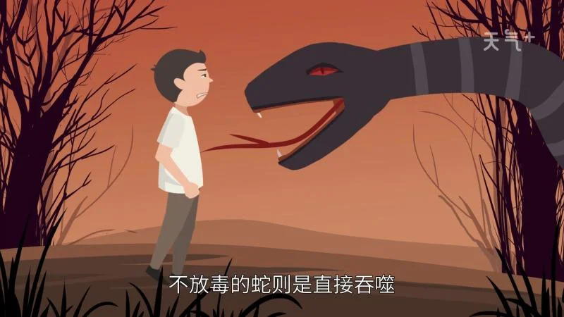 梦到蛇追我预示着什么_2