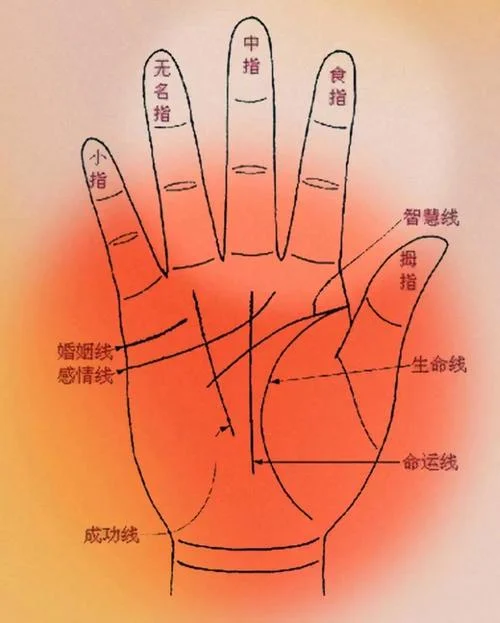 手相三根线怎么区分_1