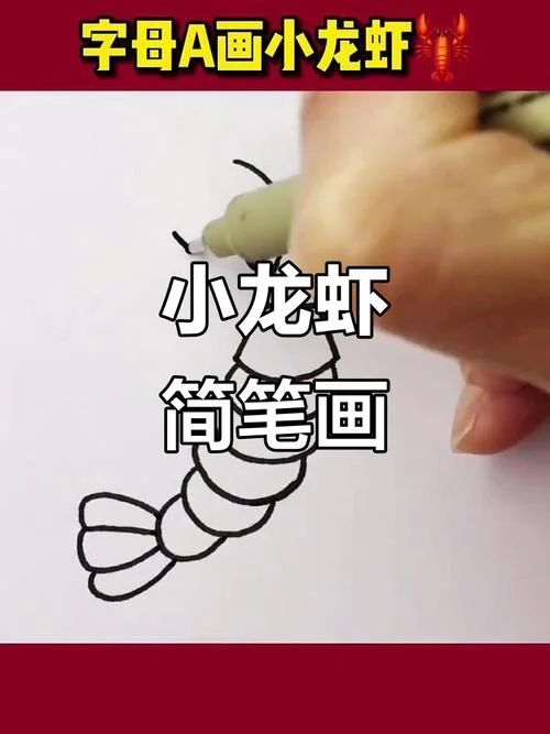 小龙虾包装设计简笔画_1