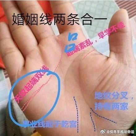 女生手相看有几个孩子-女生手相看生几个孩子