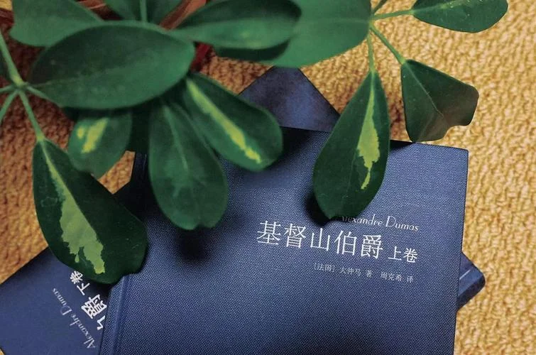 基督山伯爵告诉我们什么道理_1