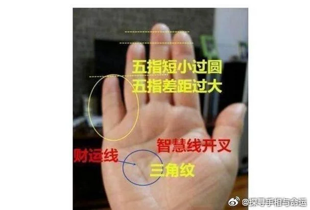 五指不漏缝手相_2