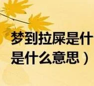 做梦梦到到处都是屎_2