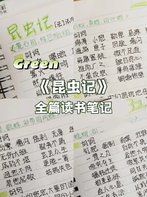 昆虫记每章的感悟-每章感悟昆虫记