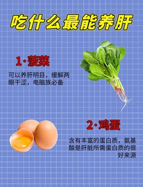养肝护肝的食物怎么做-10 字以内食疗