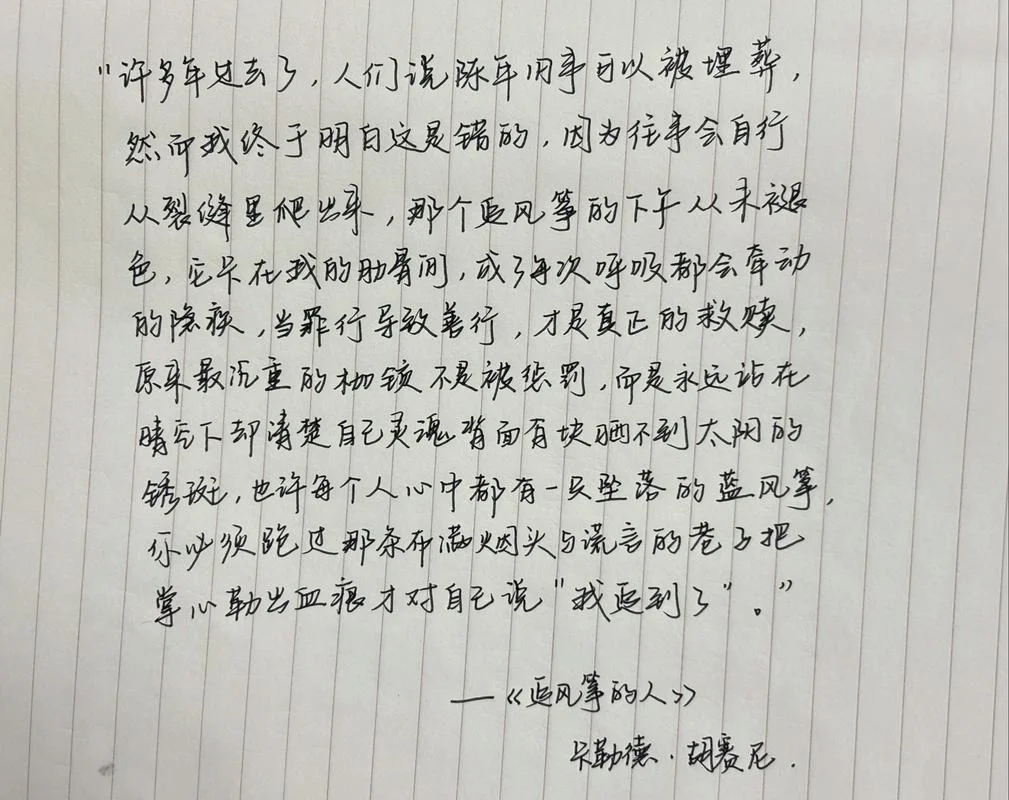 追风筝的人内容和道理_2