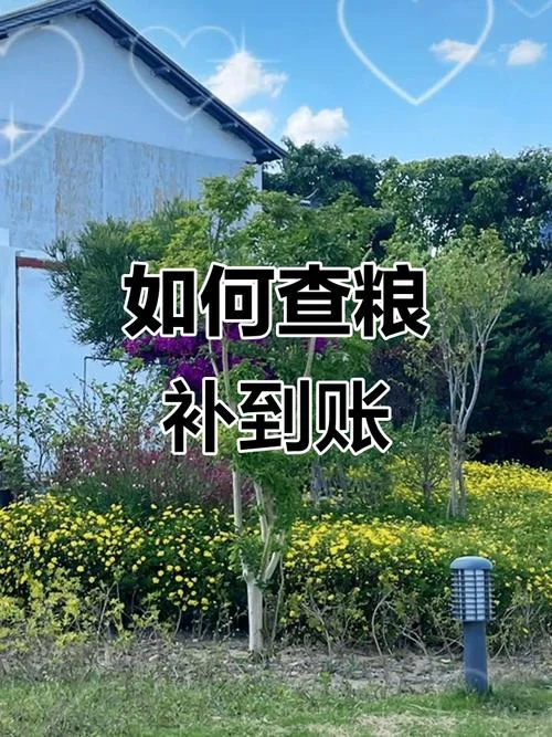 农民补贴在哪里查_1