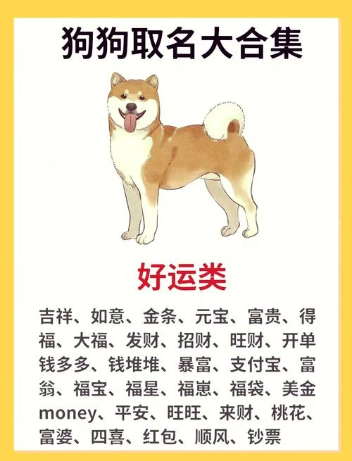属狗起名带豪字好不好-属狗起名带豪字好