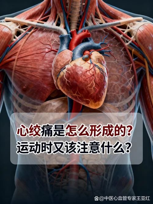 心绞痛如何查原因呢-心绞痛查原因