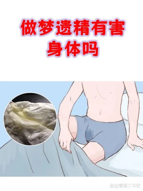 做梦遗精什么意思_1