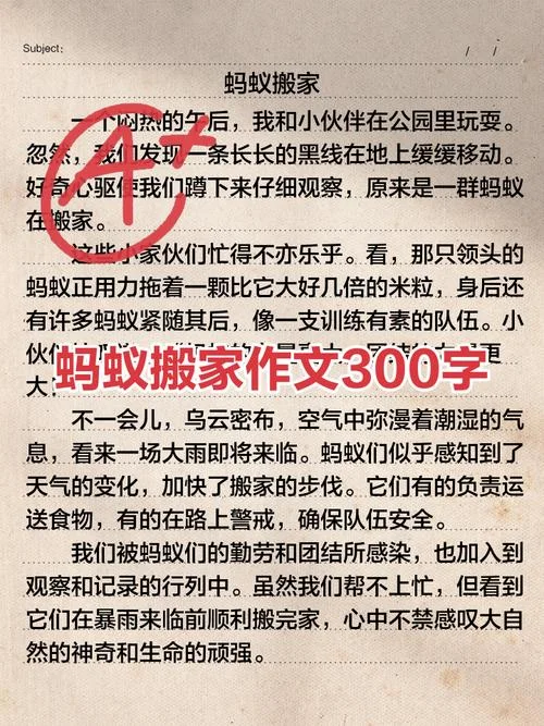 观察蚂蚁的作文感悟-观察蚂蚁感悟