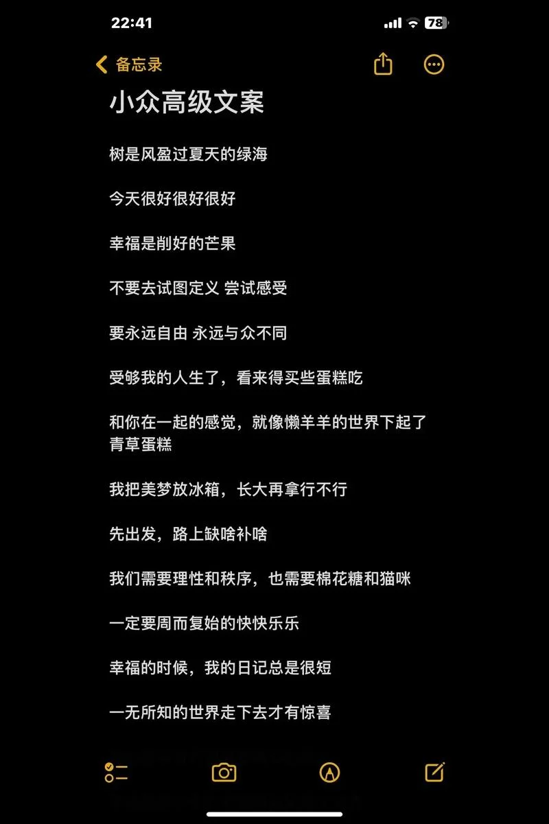 幸福感悟文案_2