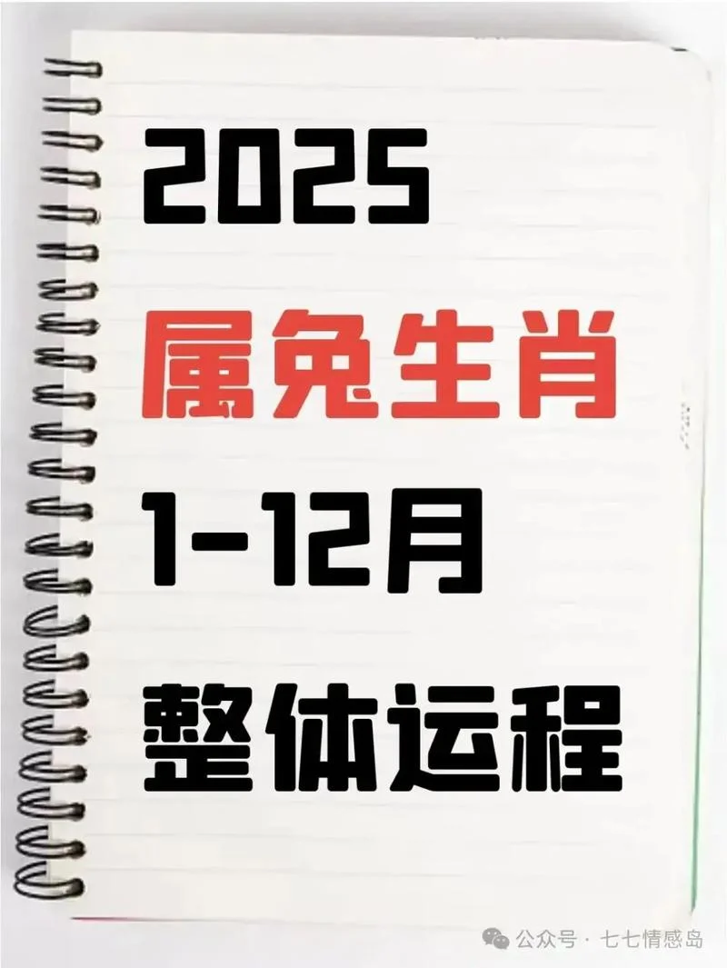属兔人下半年运势_2