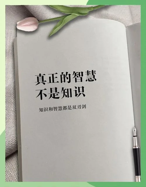智慧学历史_2