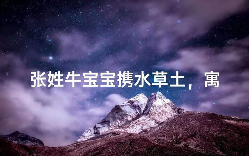 张姓牛宝宝免费起名_2