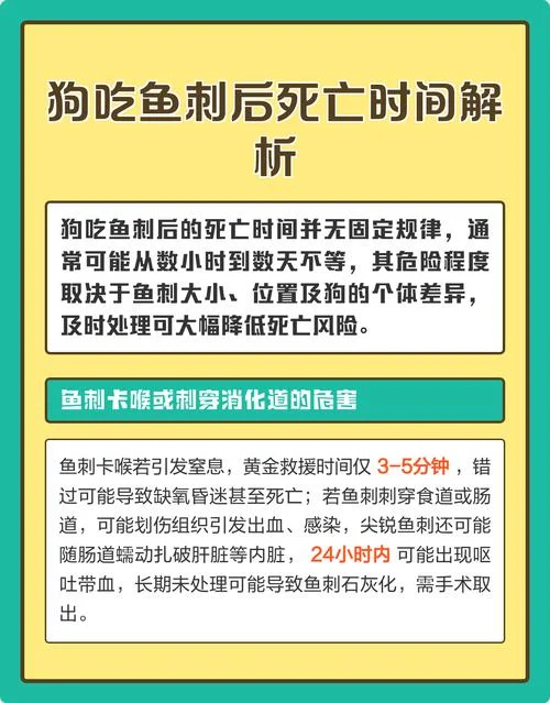 狗卡到鱼刺怎么办-狗吞鱼刺怎么办