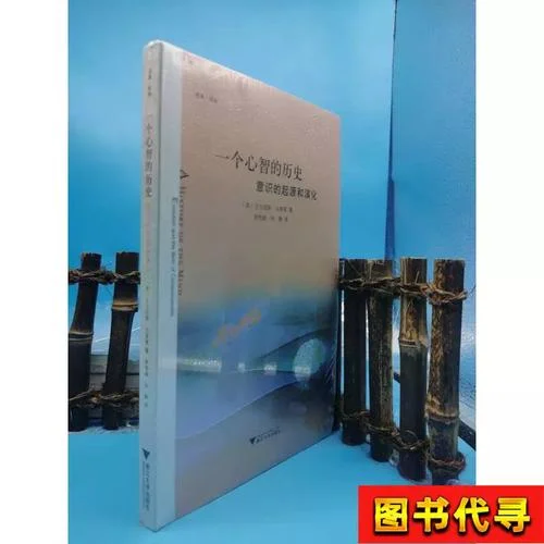 心灵的历史-心灵历史