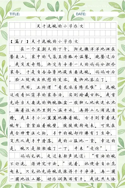 写洗碗的作文_2