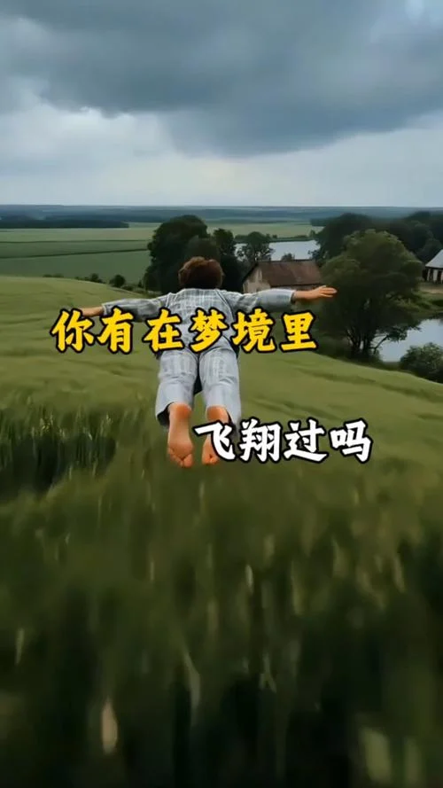 梦到飞起来了是什么预兆-梦飞预示升迁好运
