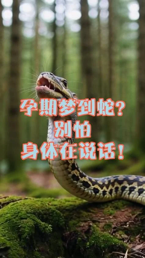 经常梦见蛇是什么征兆-常梦蛇征兆