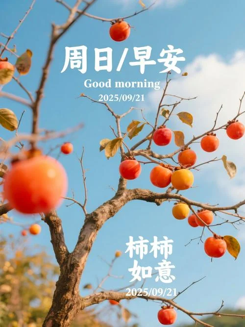 秋风送爽下一句_1