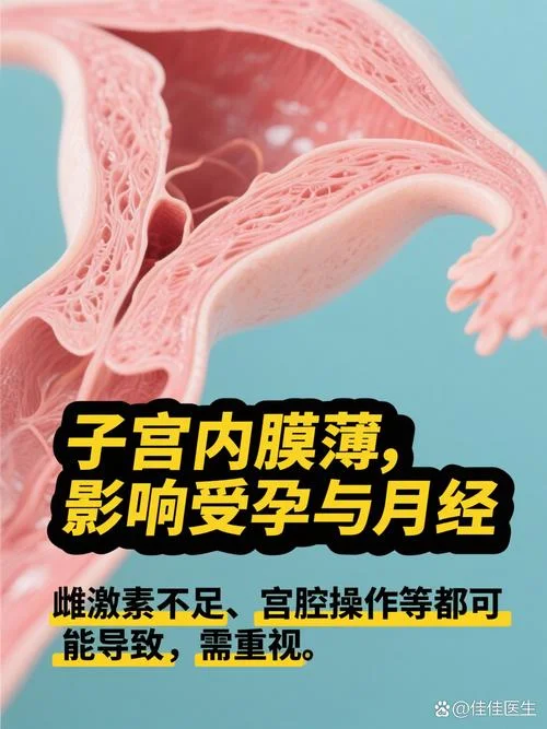 什么是子宫内膜太薄_2