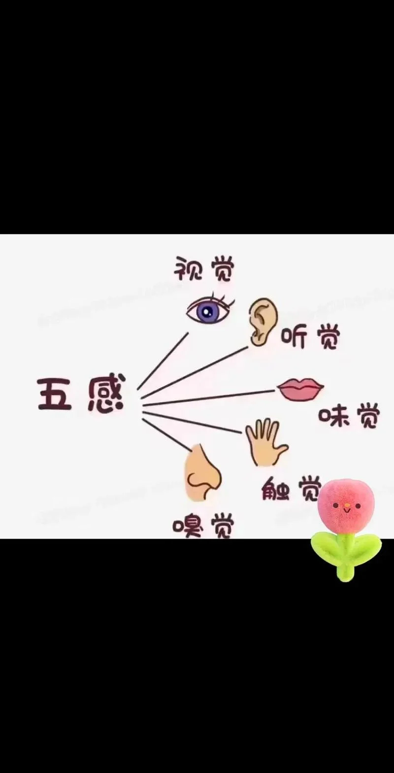五爱是指什么_1