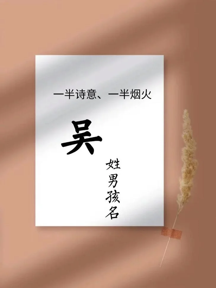 男孩吴姓宝宝起名字_1