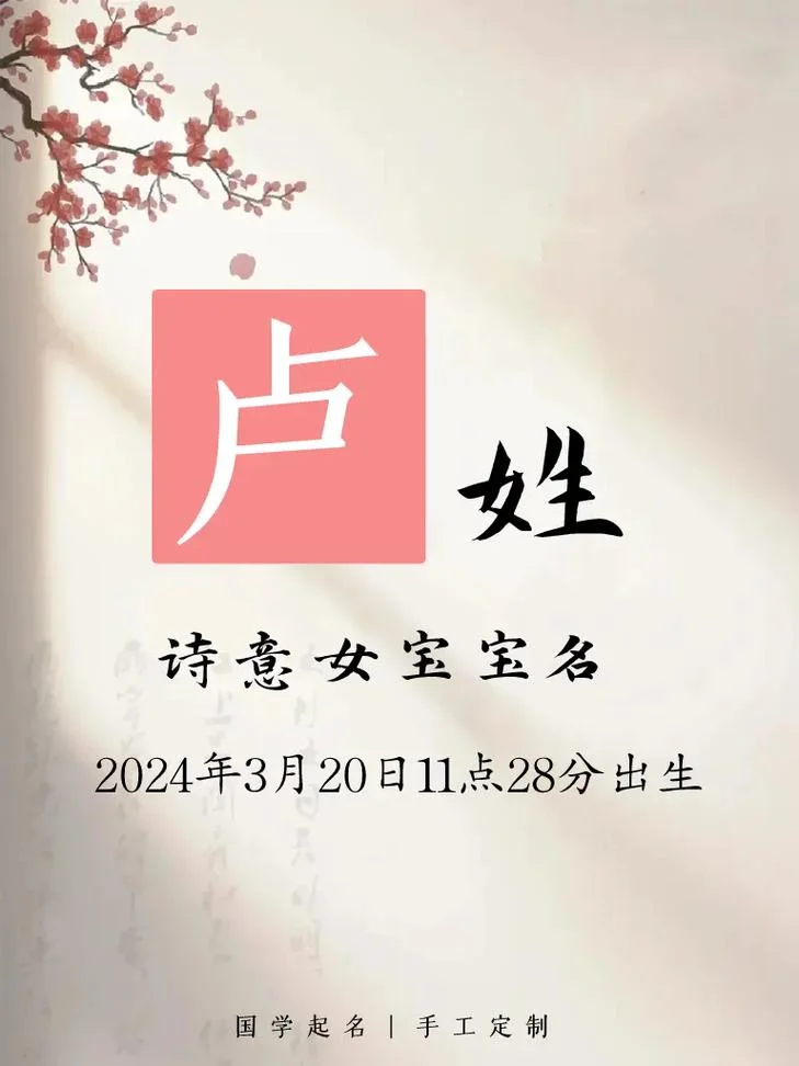 卢姓女孩起名简单好听_1