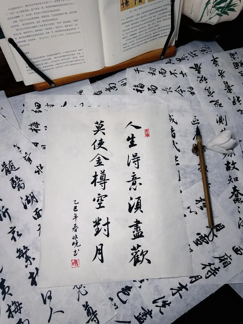 人生在世须尽欢的出处_1