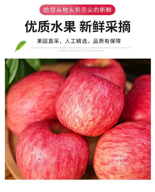 新鲜的苹果几月上市_1